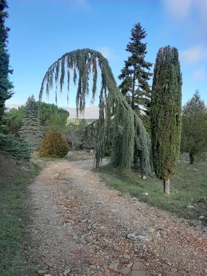 فندق Domaine De La Xavoliere Saint-Cézaire-sur-Siagne المظهر الخارجي الصورة