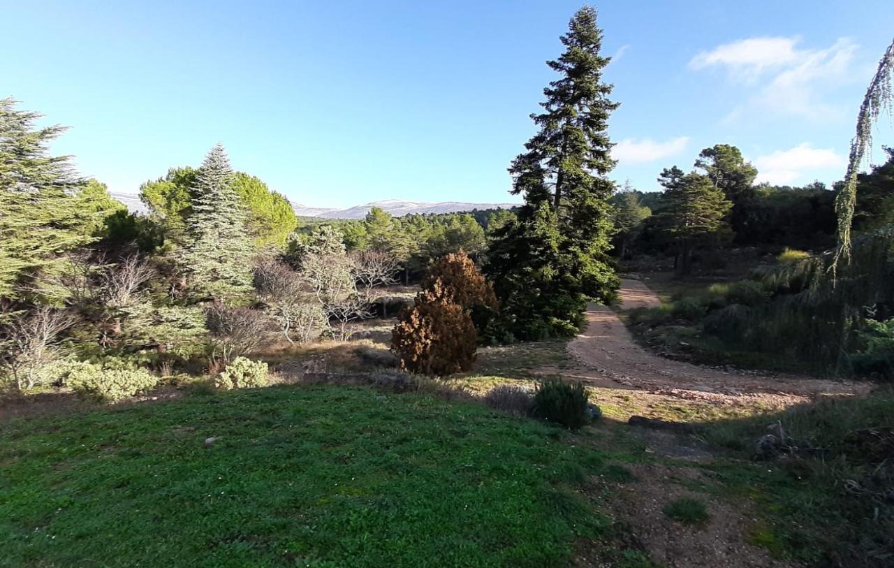 فندق Domaine De La Xavoliere Saint-Cézaire-sur-Siagne المظهر الخارجي الصورة