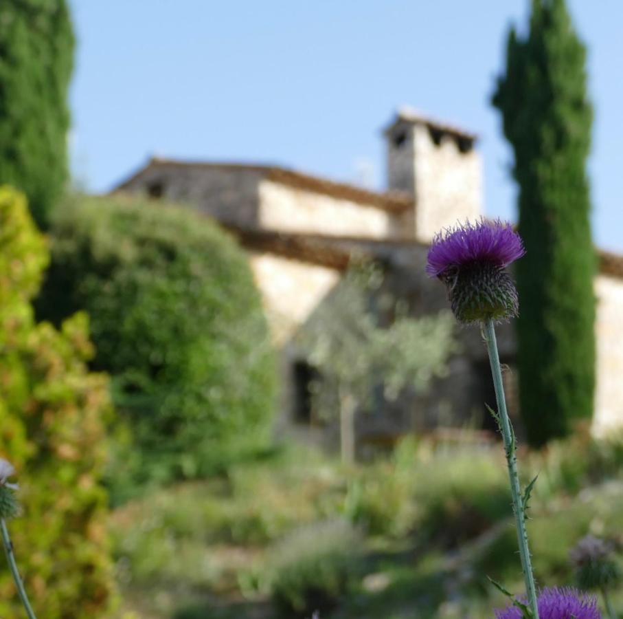 فندق Domaine De La Xavoliere Saint-Cézaire-sur-Siagne المظهر الخارجي الصورة