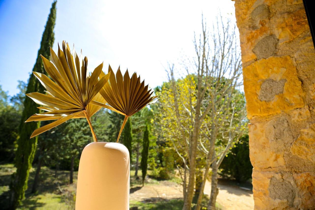 فندق Domaine De La Xavoliere Saint-Cézaire-sur-Siagne المظهر الخارجي الصورة
